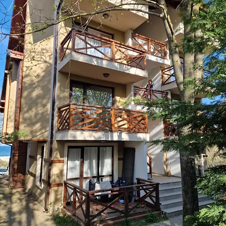Infinity View 8 * Lozenets